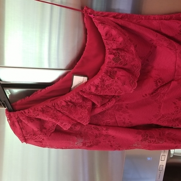 💕ALEXIS💕 Ilana Lace Long Sleeve Dress ~ Dark Red XS One Shoulder Sheath Dress - Picture 10 of 14